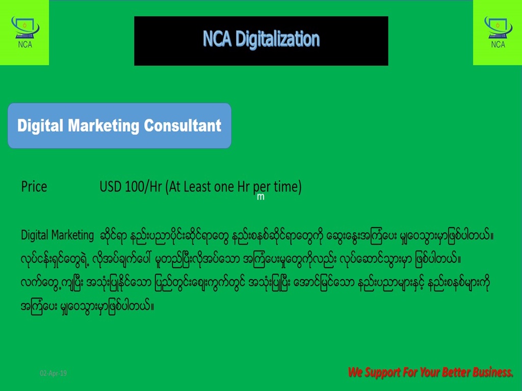 Digital Marketing Consultant
