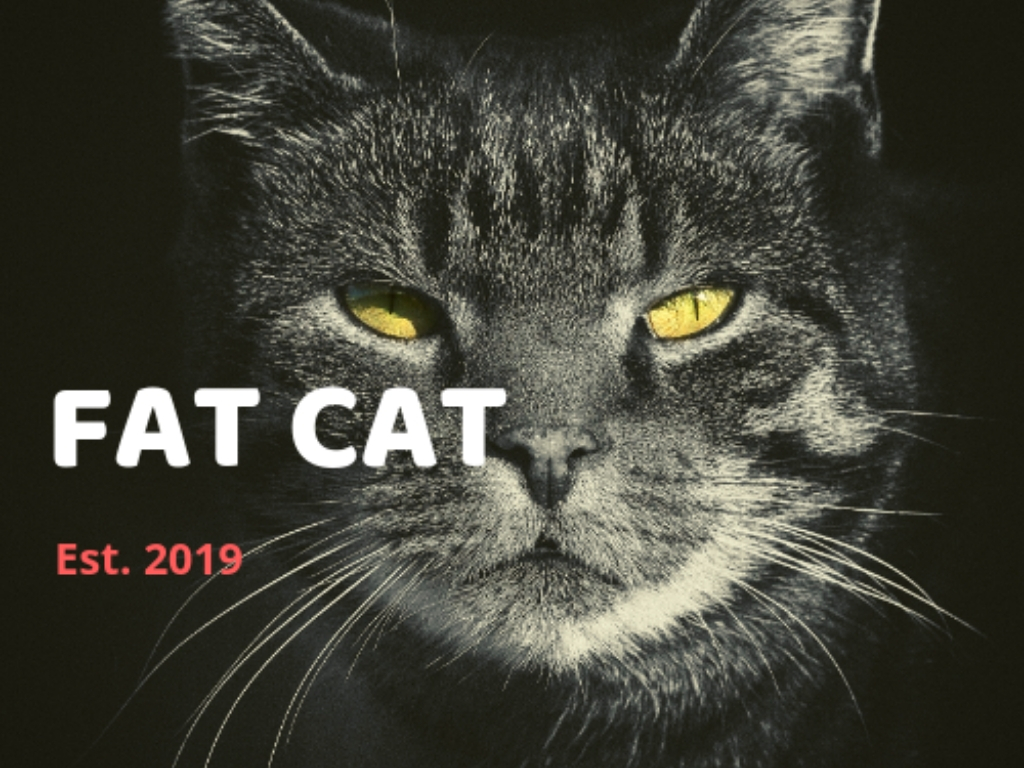 Social Media Marketing by FAT CAT (SMM)