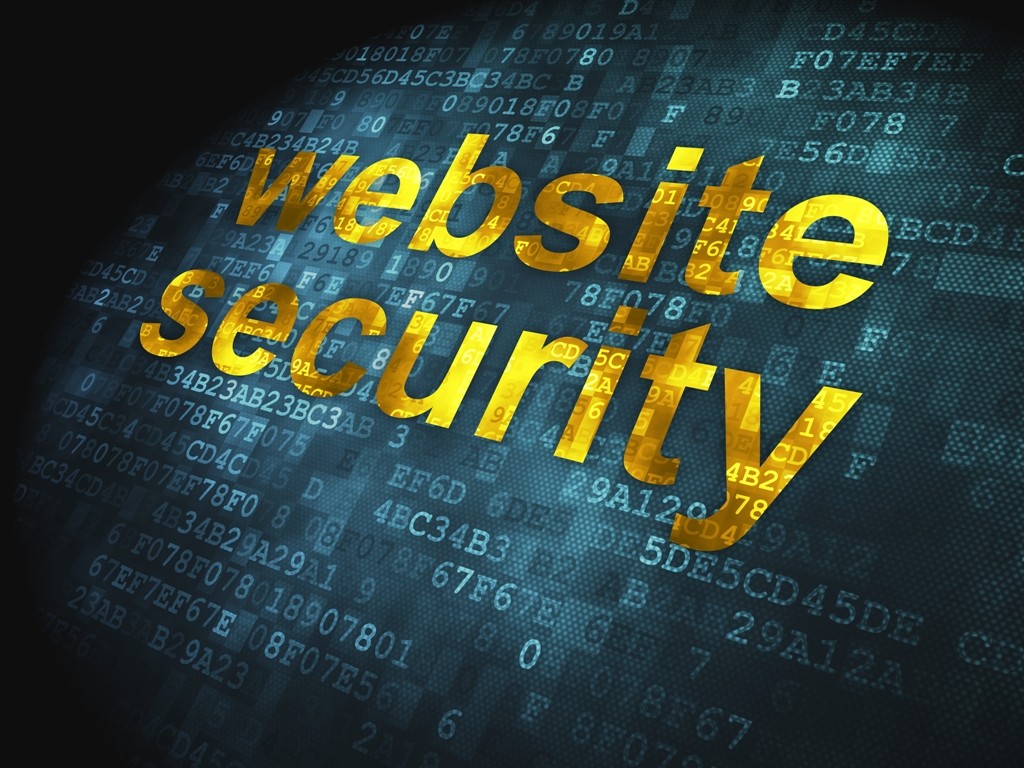 Web Server Monitoring and Security Testing