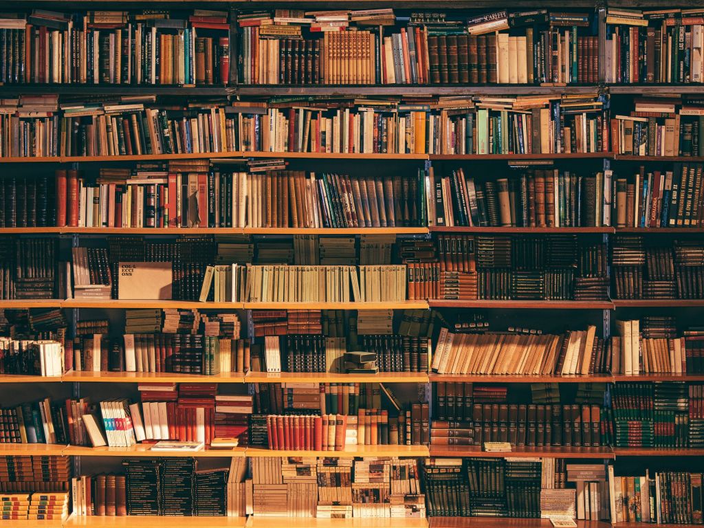 English-Burmese Translation | Proofreading