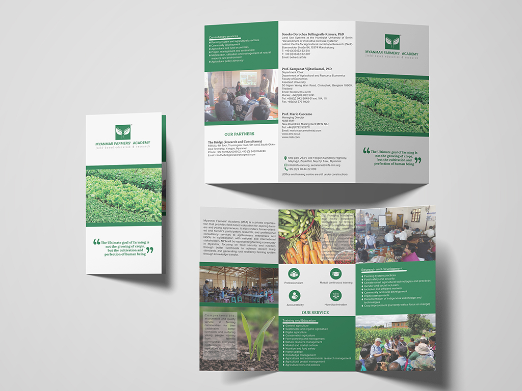 Trifold brochure design