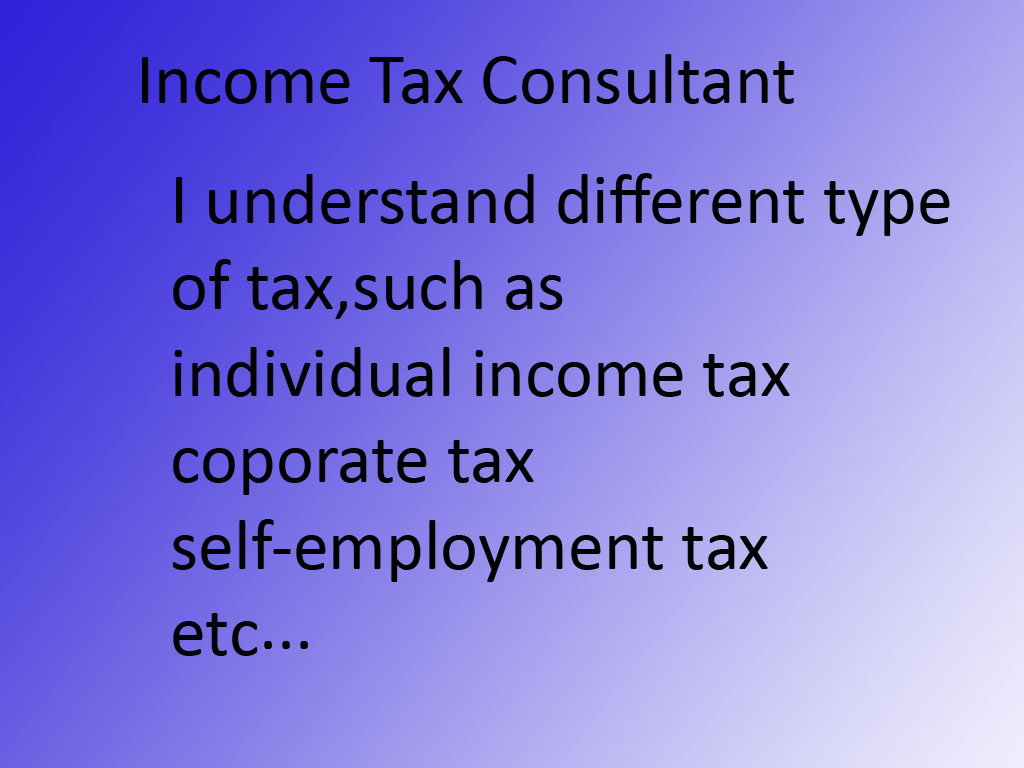Income tax consultant